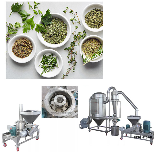 Moringa Leaf Powder Milling Machine News Brightsail Industries Group